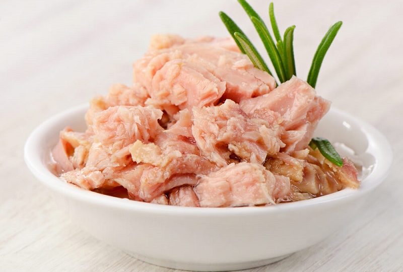 Canned tuna in pregnancy