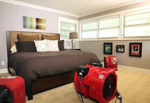eliminate bed bugs with heat