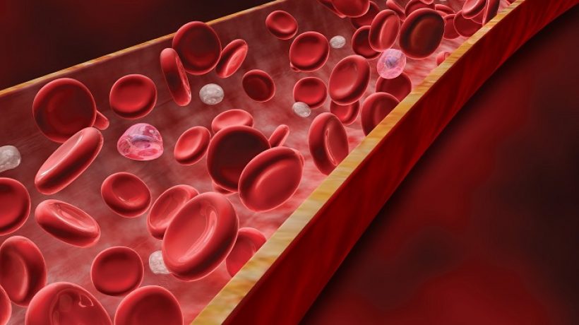 How to Purify the Blood and Prevent Health Problems