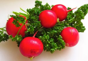 How to store radishes