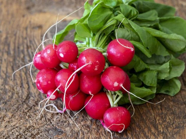 How to store radishes