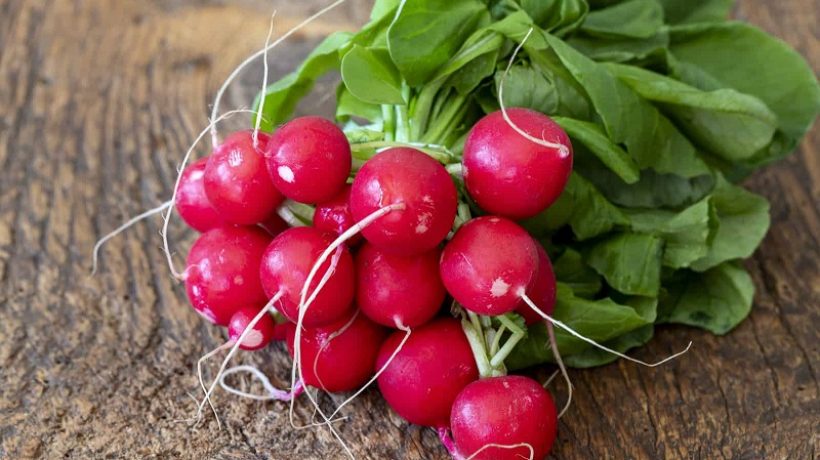 How to store radishes: useful tips