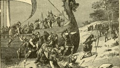 Why were Viking sagas important