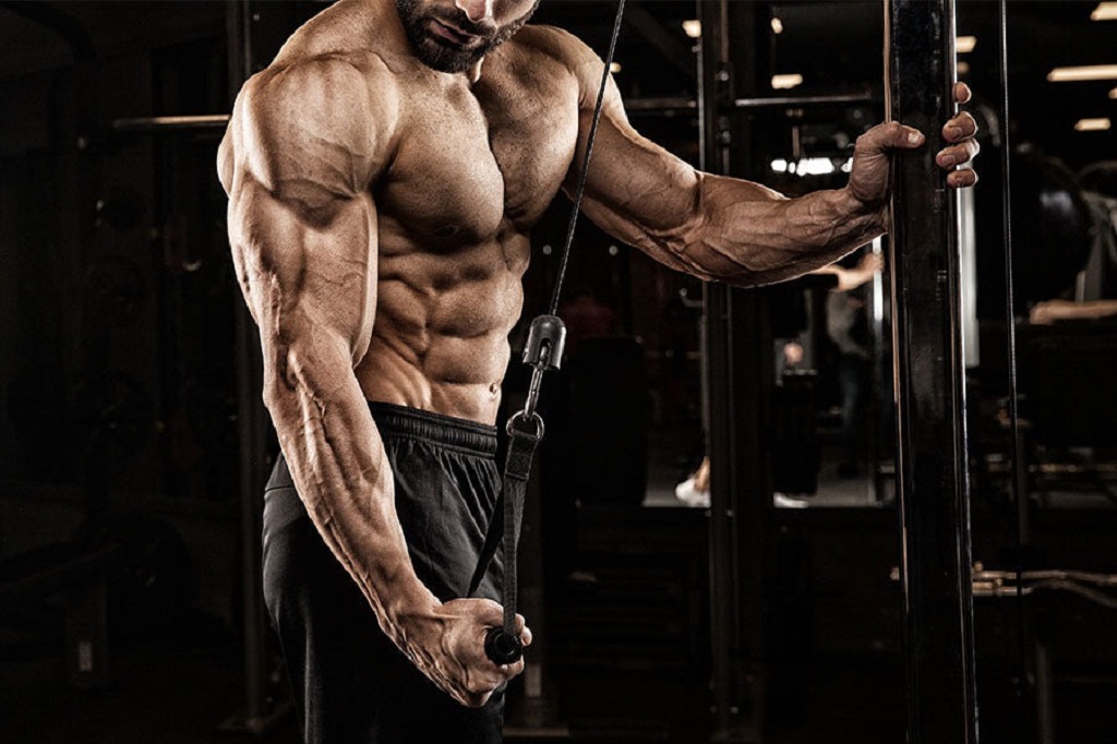 Where Can I Find Heavy Metal Fitness Communities