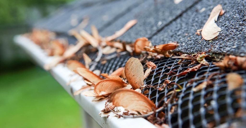 A close-up shot showing rainwater flowing smoothly through a clean gutter guard while leaves and pine needles sit on top